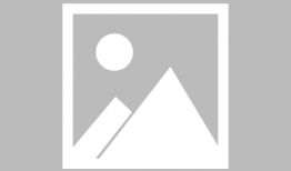 表情包 动漫,趣味横生的视觉盛宴