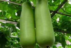 南充吃瓜爆料公司电话地址,电话地址全公开，一探究竟